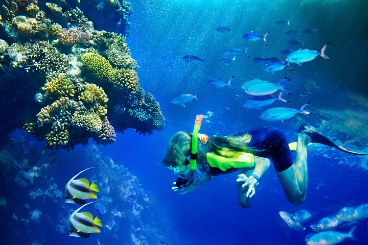 Lanai Snorkel and Dolphin Watch from Maui - Photo 1 of 6